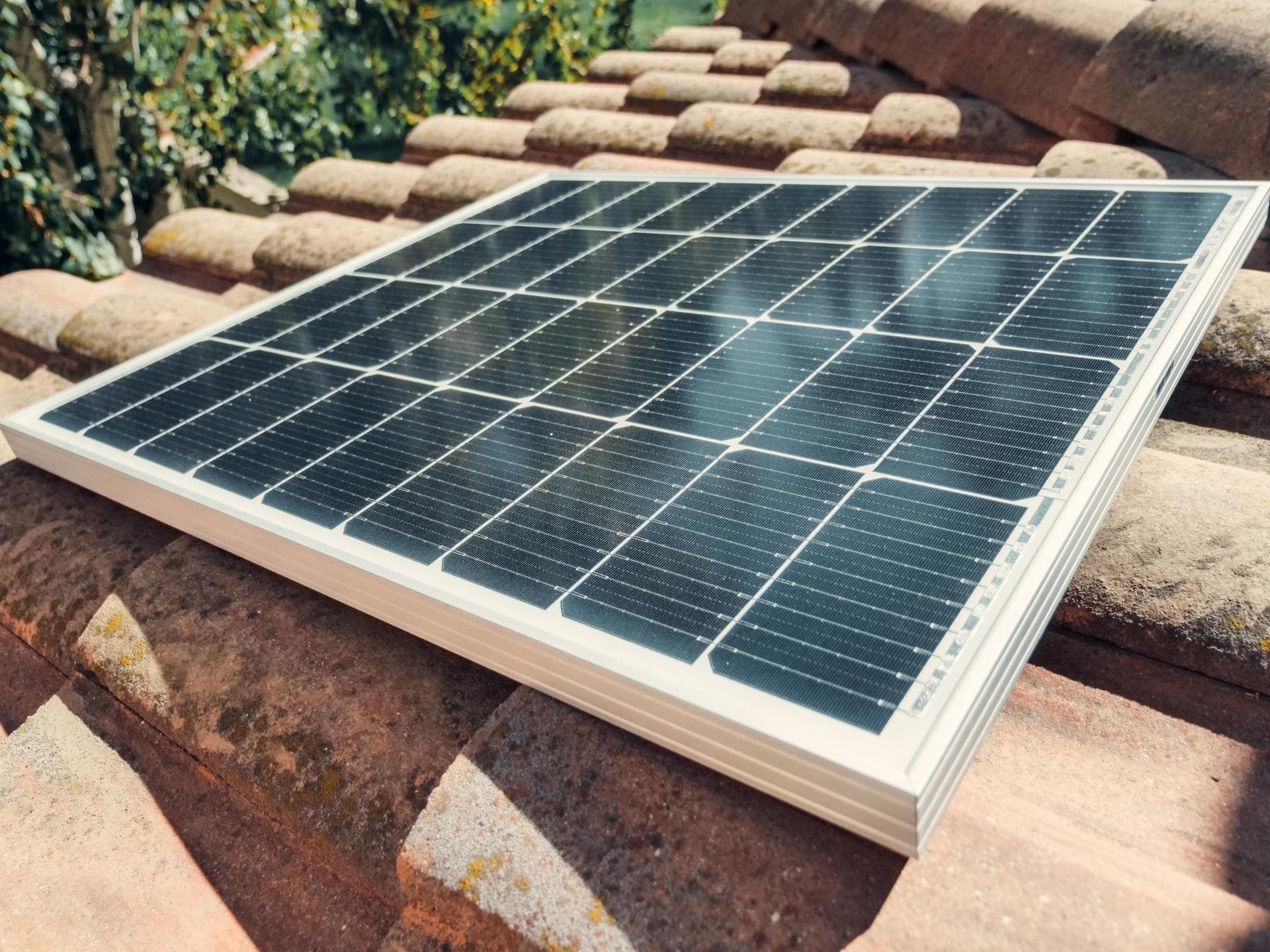 Sustainability consulting